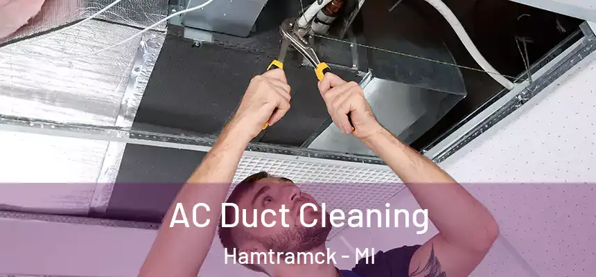  AC Duct Cleaning Hamtramck - MI