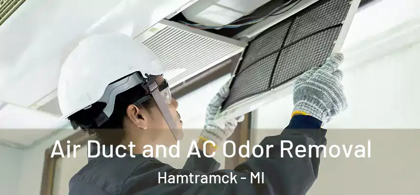  Air Duct and AC Odor Removal Hamtramck - MI