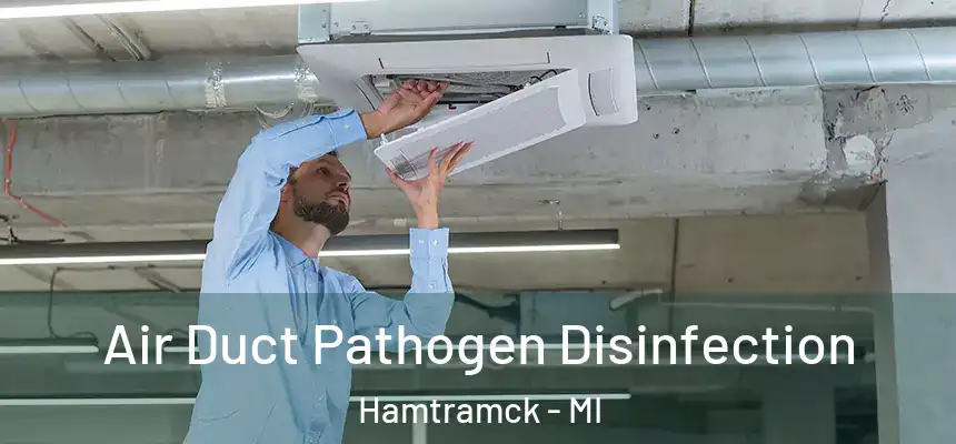  Air Duct Pathogen Disinfection Hamtramck - MI