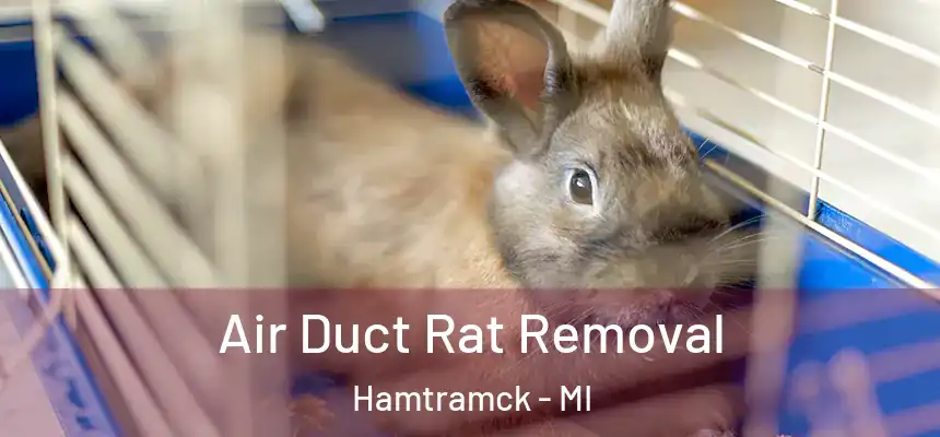 Air Duct Rat Removal Hamtramck - MI