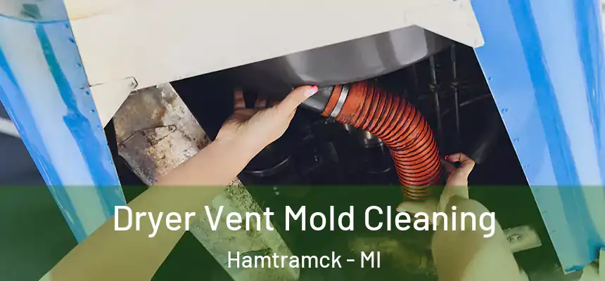  Dryer Vent Mold Cleaning Hamtramck - MI