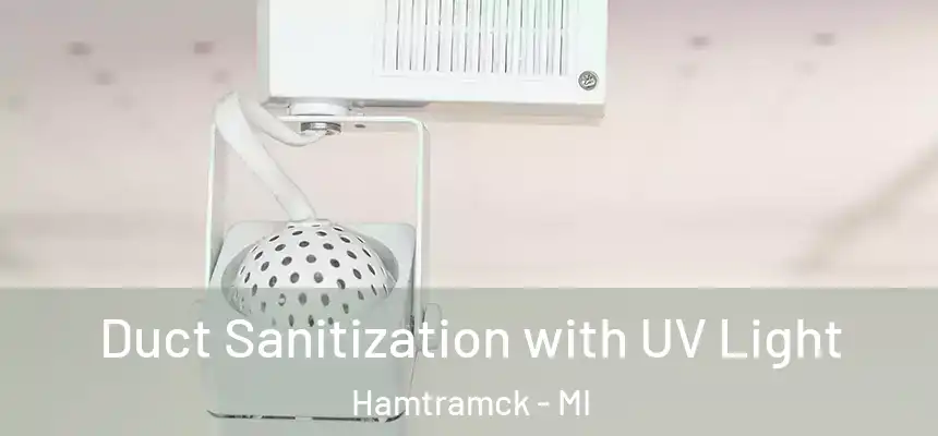  Duct Sanitization with UV Light Hamtramck - MI