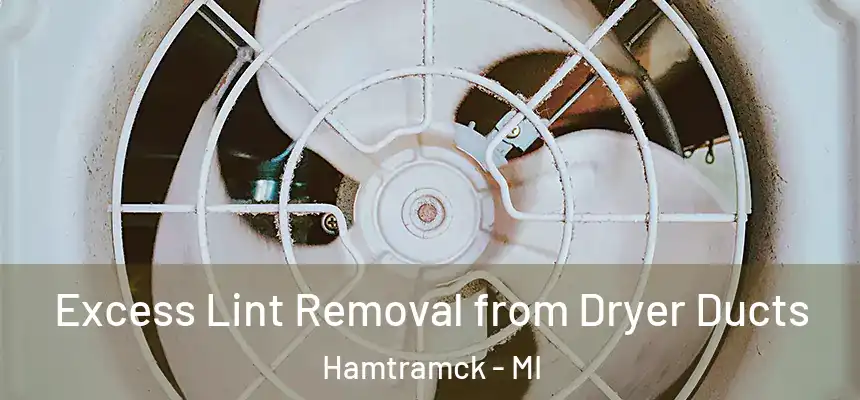  Excess Lint Removal from Dryer Ducts Hamtramck - MI