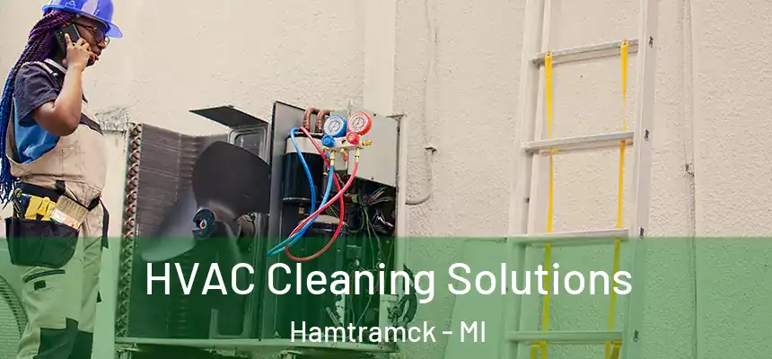  HVAC Cleaning Solutions Hamtramck - MI