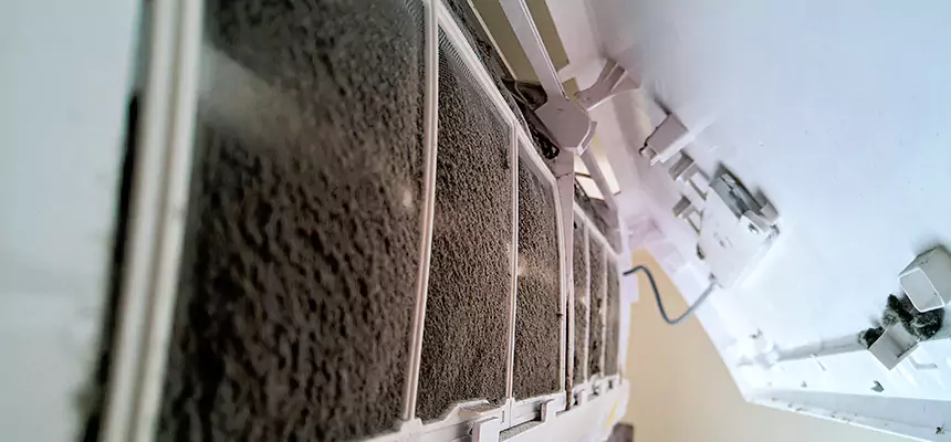 Preventive Air Duct Bacteria Removal in Hamtramck