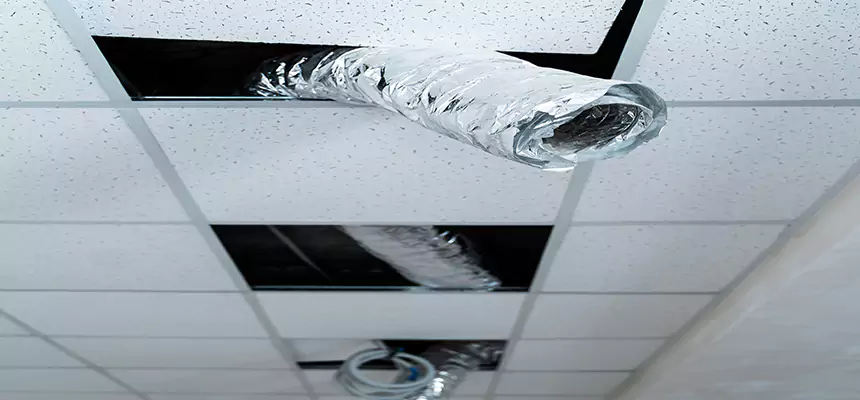 Our Air Duct Pet Hair Removal Services in Hamtramck, MI