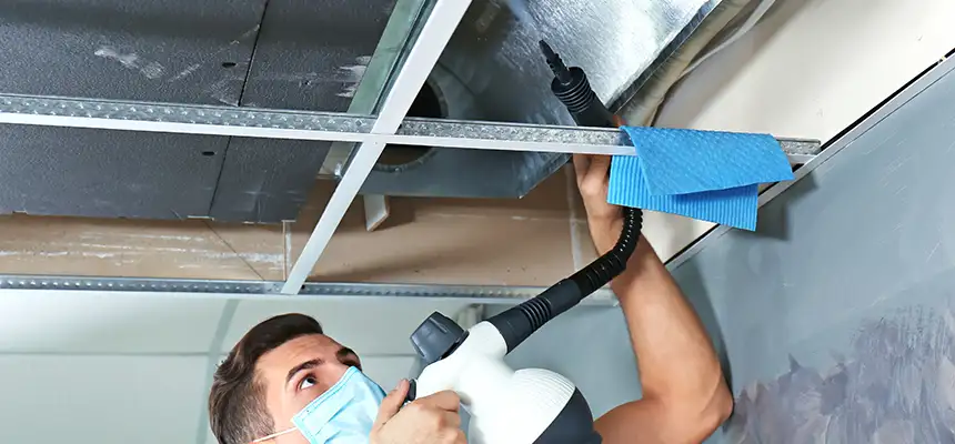 Our Air Duct Rodent Removal Services in Hamtramck, MI