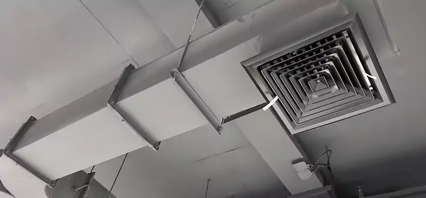 Restorative Allergy Relief Vent Cleaning – Coil, Blower & Housing Detail in Hamtramck