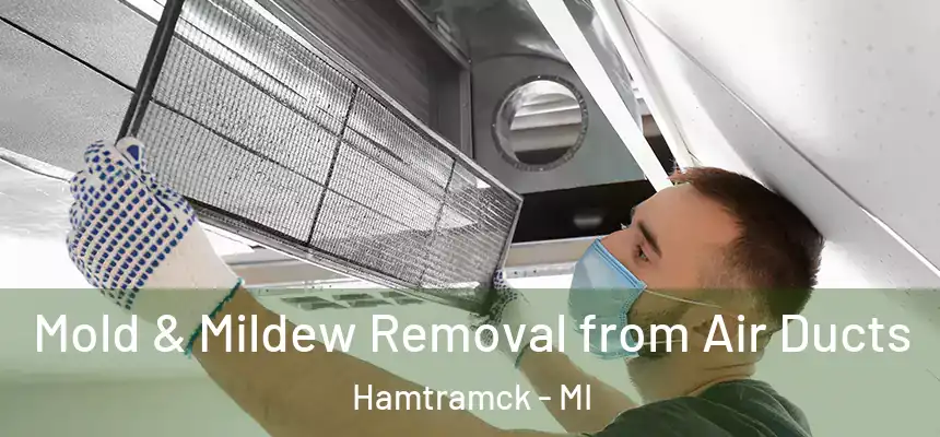  Mold & Mildew Removal from Air Ducts Hamtramck - MI