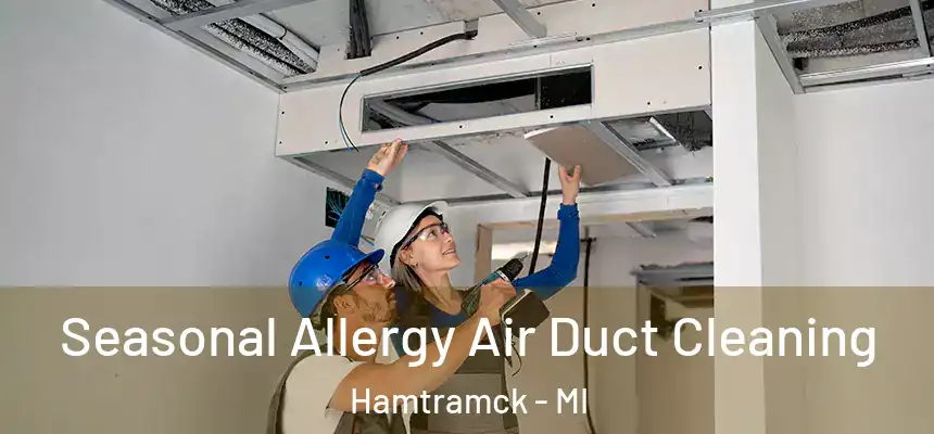  Seasonal Allergy Air Duct Cleaning Hamtramck - MI