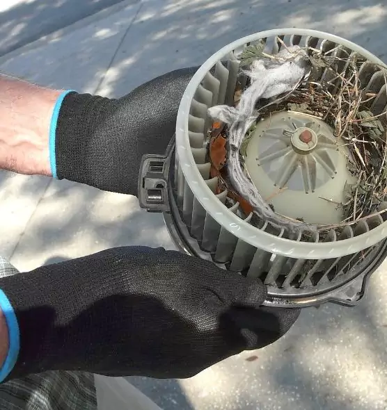 About Air Duct Mice Removal in Hamtramck, MI