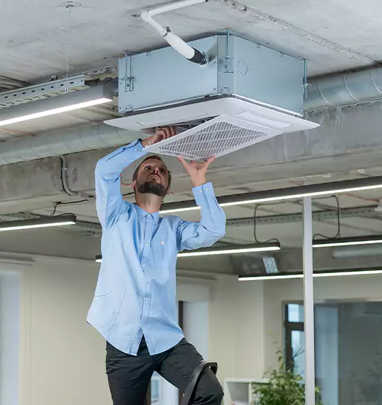Advanced Rodent Droppings In Vents in Hamtramck, MI