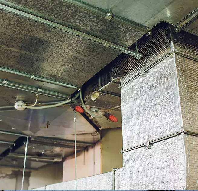 Why Homeowners & Businesses Trust Us in Hamtramck, MI?