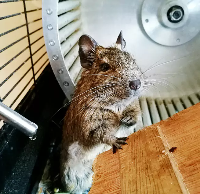 Why Homeowners & Businesses Trust Us Hamtramck, MI