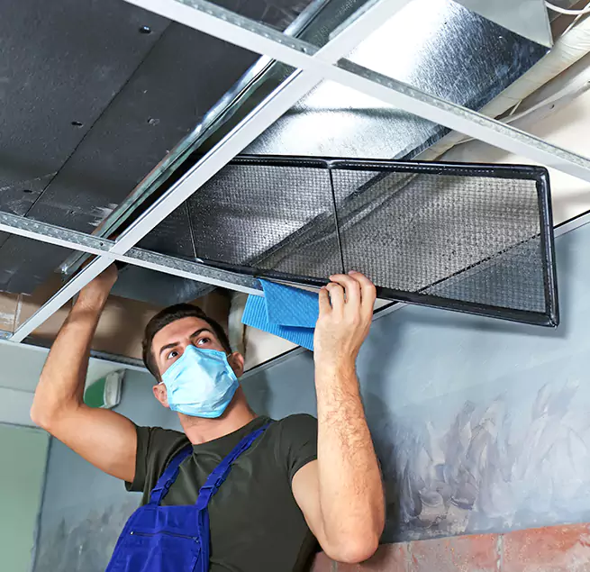 Why Homeowners & Businesses Trust Us in Hamtramck, MI?