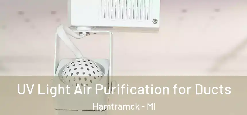  UV Light Air Purification for Ducts Hamtramck - MI